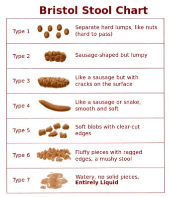 Bristol Stool Chart graphic.