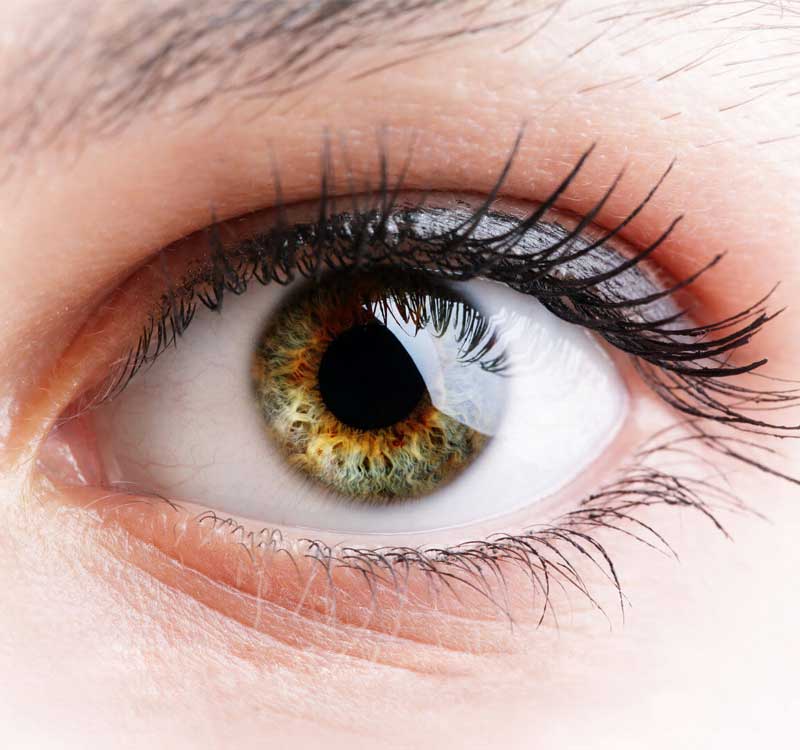 Photo close-up of an eye.